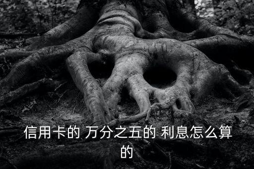  信用卡的 萬(wàn)分之五的 利息怎么算的