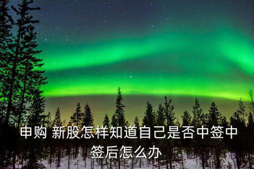  申購(gòu) 新股怎樣知道自己是否中簽中簽后怎么辦