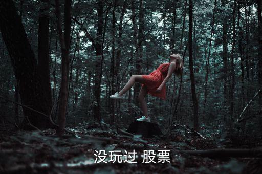 怎么沒玩股票,新股民可開戶申請股票交易網上進行交易
