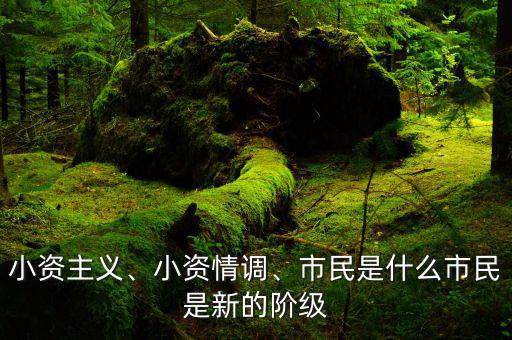 小資主義、小資情調、市民是什么市民是新的階級