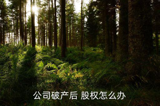 公司破產(chǎn)后 股權怎么辦