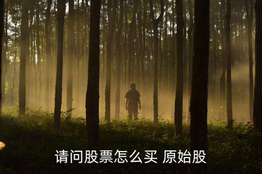 請(qǐng)問股票怎么買 原始股