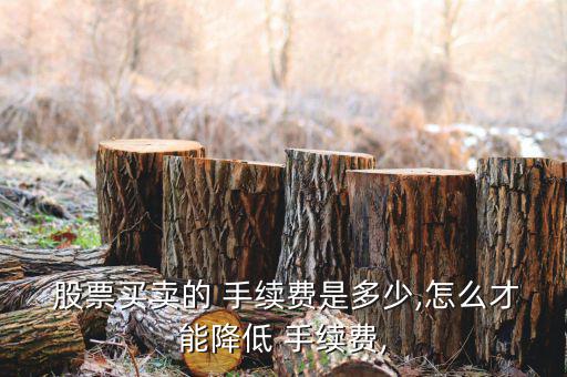  股票買賣的 手續(xù)費(fèi)是多少,怎么才能降低 手續(xù)費(fèi),