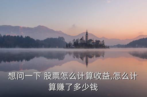 想問一下 股票怎么計(jì)算收益,怎么計(jì)算賺了多少錢