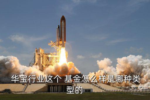  華寶行業(yè)這個(gè) 基金怎么樣是哪種類(lèi)型的