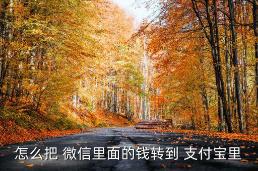 微信里的錢怎么提現支付寶,微信零錢如何轉賬支付寶余額