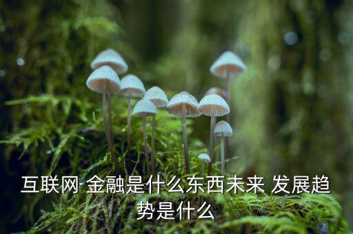怎么網金融行業(yè)發(fā)展,互聯(lián)網金融專業(yè)畢業(yè)生就業(yè)方向及前景: