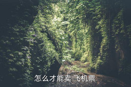 賣飛機(jī)票擁金怎么收,代理機(jī)票賺回返航空公司的返點!