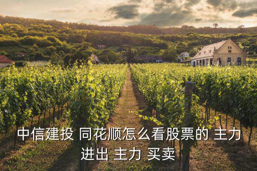 中信建投 同花順怎么看股票的 主力進(jìn)出 主力 買(mǎi)賣(mài)