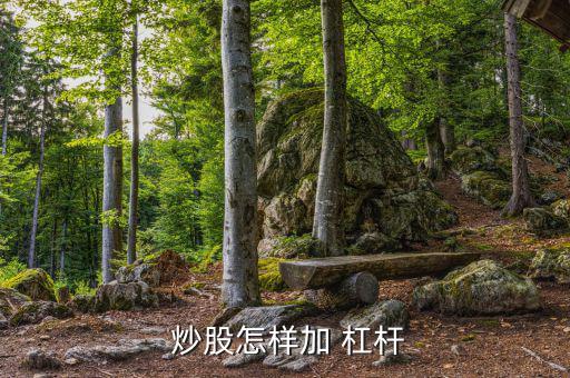 杠桿炒股怎么操作,杠桿只有適合自己才能開拓新領域