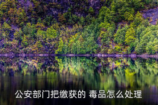 公安部門(mén)把繳獲的 毒品怎么處理