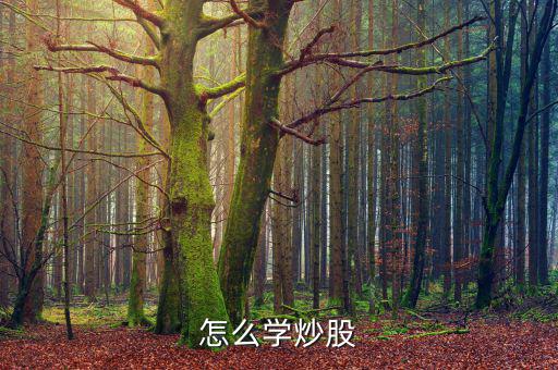 怎么學習抄股票,股票basic入門教材（四））