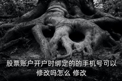  股票賬戶開戶時(shí)綁定的的手機(jī)號(hào)可以 修改嗎怎么 修改