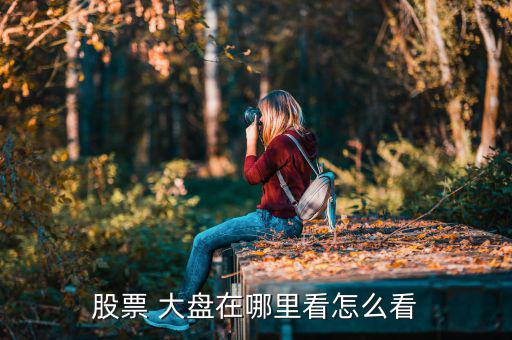 股票 大盤(pán)在哪里看怎么看
