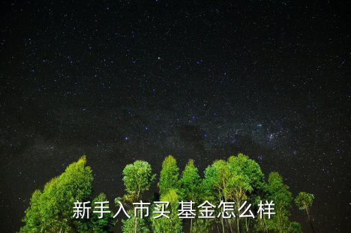 好買基金怎么樣,菜鳥在市場(chǎng)買基金新手買老基金比較好