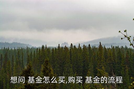 想問 基金怎么買,購(gòu)買 基金的流程