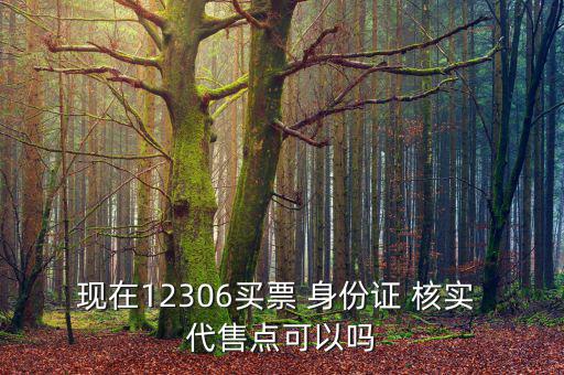 現(xiàn)在12306買票 身份證 核實 代售點可以嗎