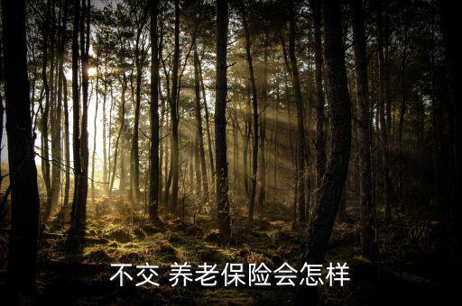 社保養(yǎng)老不買(mǎi)會(huì)怎么樣,社保停保和續(xù)?？赡苡绊懤U納費(fèi)用