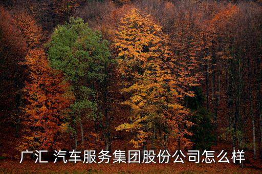 廣匯汽車怎么樣,廣匯汽車商譽(yù)來(lái)自于溢價(jià)收購(gòu)4s門(mén)店