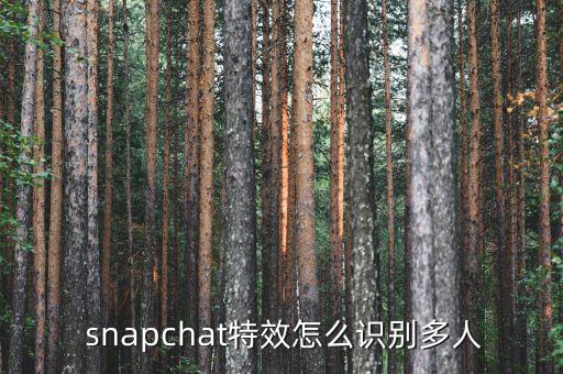  snapchat特效怎么識別多人