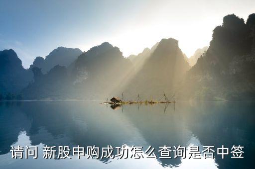 怎么查打新股是否中標(biāo),新股買賣日將有哪些重點(diǎn)?