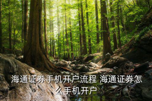  海通證券手機(jī)開(kāi)戶(hù)流程 海通證券怎么手機(jī)開(kāi)戶(hù)