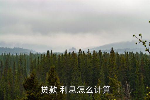 貸款的利息怎么算,貸款利息利息=累計利息累計ne日利率