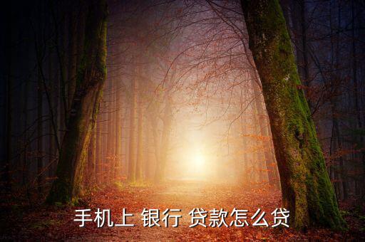手機上 銀行 貸款怎么貸