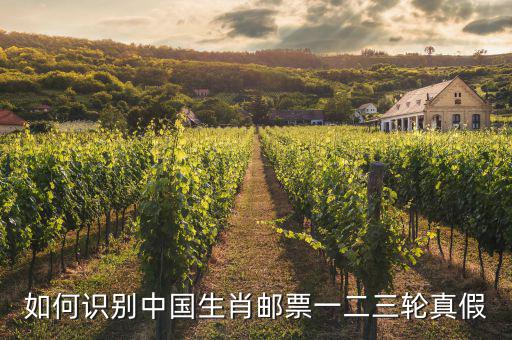 如何識(shí)別中國生肖郵票一二三輪真假