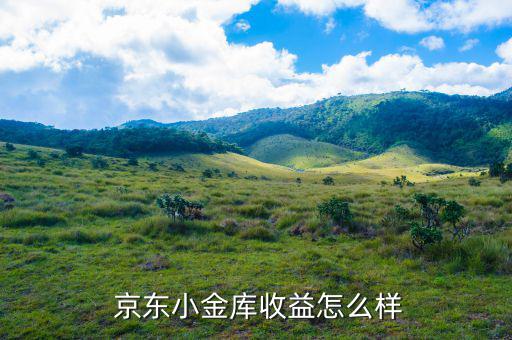 京東基金理財(cái)怎么樣,京東小金庫理財(cái)黃金賬戶專注于理財(cái)