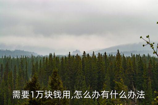 需要1萬(wàn)塊錢用,怎么辦有什么辦法