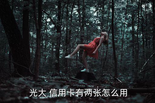  光大 信用卡有兩張?jiān)趺从? class=