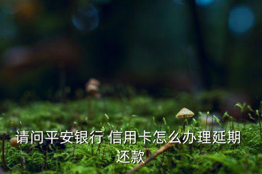 請(qǐng)問(wèn)平安銀行 信用卡怎么辦理延期 還款