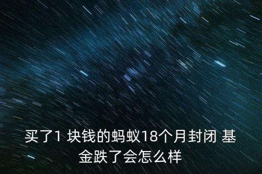 買了1 塊錢的螞蟻18個月封閉 基金跌了會怎么樣