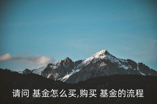 請問 基金怎么買,購買 基金的流程