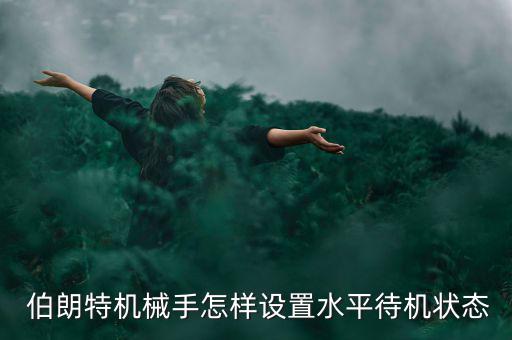  伯朗特機械手怎樣設(shè)置水平待機狀態(tài)
