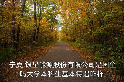  寧夏 銀星能源股份有限公司是國企嗎大學本科生基本待遇咋樣