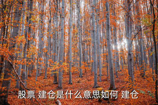 怎么建倉(cāng),股票做市商建倉(cāng):先尋找目標(biāo)股票再分批買(mǎi)入