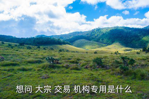 怎么看機(jī)構(gòu)大宗交易,大宗-1/交易須遵守什么規(guī)則?