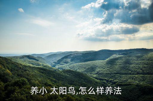 養(yǎng)小 太陽(yáng)鳥(niǎo),怎么樣養(yǎng)法