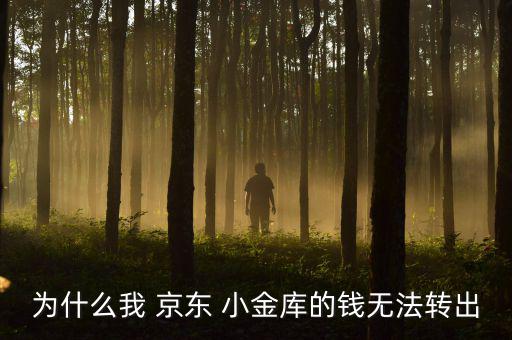 為什么我 京東 小金庫(kù)的錢無(wú)法轉(zhuǎn)出