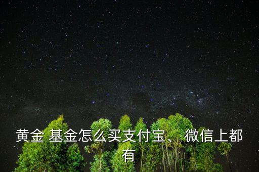 黃金 基金怎么買支付寶、 微信上都有