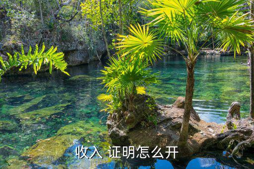怎么證明公司營業(yè)額,稅務總額取決于資產(chǎn)負債表本期應如何寫?