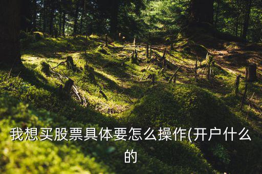 我想買股票具體要怎么操作(開(kāi)戶什么的