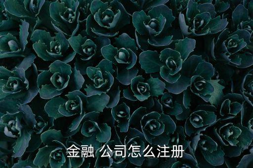 貸后催收管理公司怎么注冊,公司變更事項登記機(jī)關(guān)換發(fā)營業(yè)執(zhí)照