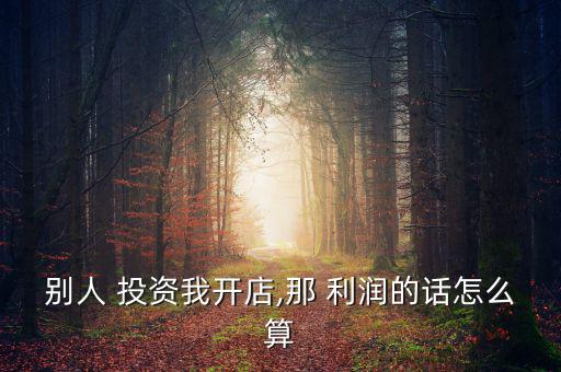 別人 投資我開(kāi)店,那 利潤(rùn)的話怎么算