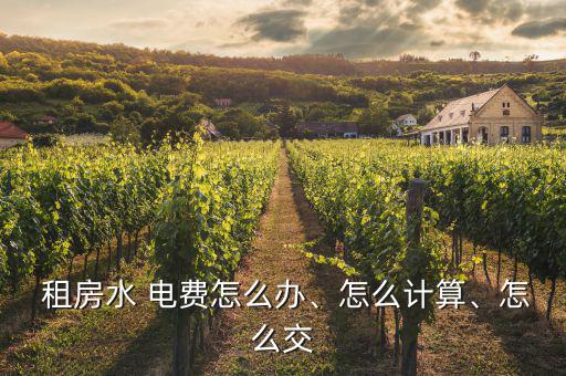  租房水 電費(fèi)怎么辦、怎么計(jì)算、怎么交