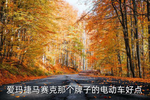 愛瑪捷馬賽克那個牌子的電動車好點