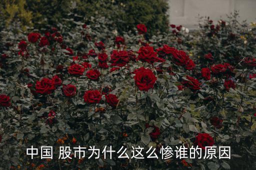 中國(guó) 股市為什么這么慘誰的原因