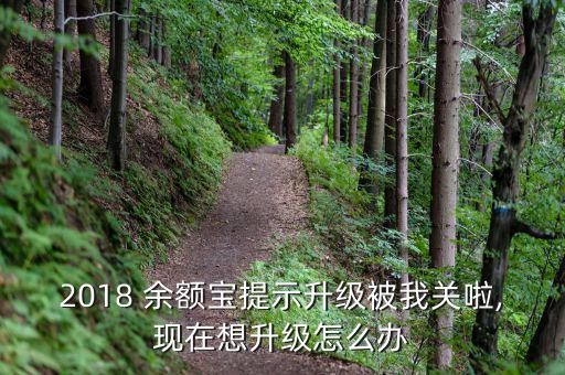 余額寶等級(jí)怎么升,余額寶限購(gòu)時(shí)間也被取消